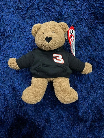 Dale Earnhardt Chase Authentic Stuffed Animal Plush Bear Vintage 2000s Cover