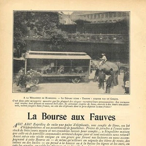 La Bourse aux Fauves  - Article de presse 1904 - Imagen 1 de 4