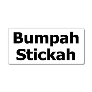 Bumpah Stickah - New England Accent Bumper Sticker - Window Sticker - Bild 1 von 1