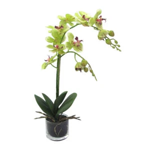 Kunstblume PHALENOPSIS künstliche Orchideen im Glas mit 2 Trieben 52cm. GRÜN-ROT - Bild 1 von 1
