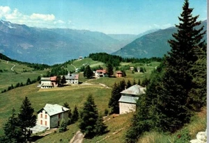 CARTOLINA Trivigno 1977 n. 254 - Picture 1 of 2
