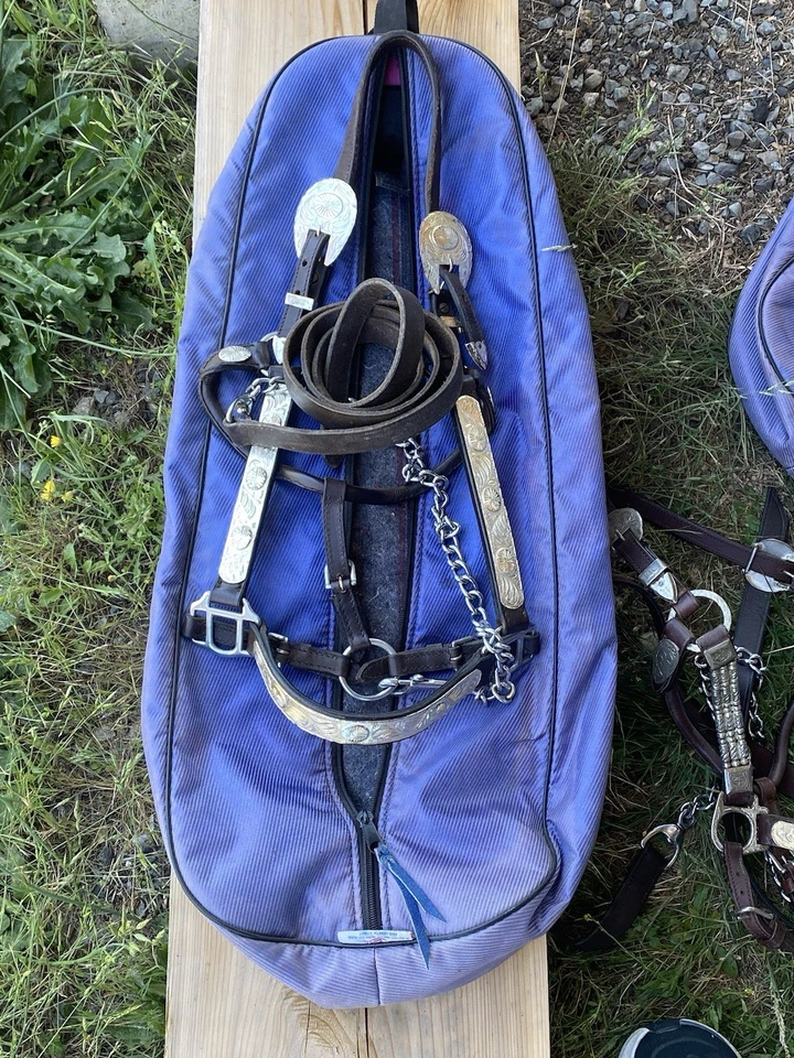 Show Halter With Silver Plate - Image 1 of 1