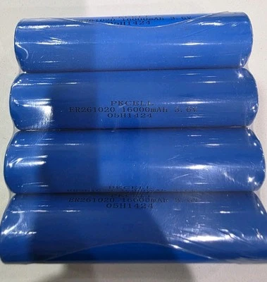 X 4 ER261020 3.6V 16000mAh ER 261020 Li-SOCl2 Doble C Baterías PKCELL NUEVO Foto 1 de 3