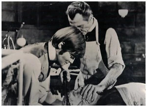 HAMMER HORROR FRANKENSTEIN MUST BE DESTROYED PETER CUSHING SIMON WARD - Picture 1 of 1