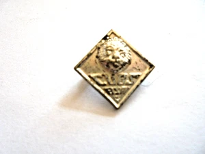 Vintage Pfadfinder Jungtier Pfadfinderjunges USA Löwe silberfarben Pin - Bild 1 von 2