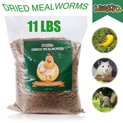 LUCKYQ Bulk 11 LBS Dried Mealworms for chickens Birds Bluebirds Hamsters Hen Meal Worms