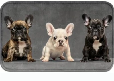 Türmatte Fußmatte Bulldoggen Welpen  45x75cm waschbar Hunde Küchenmatte - Bild 1 von 3