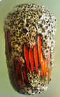 Keramik Vase von Scheurich 238/18  60er WGP Fat Lava