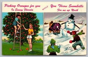 Postcard: Oranges In Florida / Snowballs Up North, Curt Teich, Divided, Unposted - Picture 1 of 2