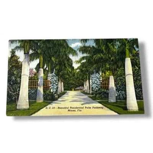 Hermosa Tarjeta Postal Residencial Palm Pathway Miami Florida Lino C801 - Imagen 1 de 2