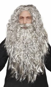 Wizard Wig Costume with Beard Included - One Size Fits All - Grey Color with ... - Picture 1 of 6