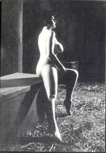 Moderne Postkarte: Klassischer Akt von Harrison Marks. Kostenloser Versand UK - Bild 1 von 2