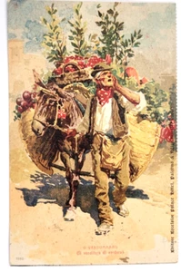 1913 CARTOLINA COSTUMI -O' VERDUMMARO ILL. DELLA VALLE postcard a Thaon di Revel - Imagen 1 de 2