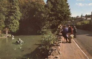 (ca85) Der Teich Bonchurch Ventnor - Isle of Wight Postkarte - Bild 1 von 2