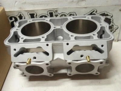 Moto de nieve Polaris 800 Cylinder Rush Axys 3022554 3022828 Pro S X $100CoreREEMBOLSO Foto 1 de 3