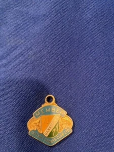 BANKSTOWN DISTRICT SPORTS CLUB MEMBERS CLUB BADGE - 1973-74 - No. 822 - Picture 1 of 3