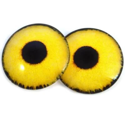 Par de cabujones de espalda plana taxidermia ojos de pájaro gorrión amarillo ojos de vidrio Foto 1 de 4