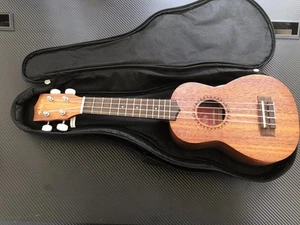 KALA Ukulele Model-155 With Case - Picture 1 of 8