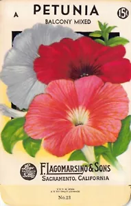 Paquete de semillas vintage: PETUNIA, Lagomarsino & Sons, Sacramento, años 40 - Imagen 1 de 2
