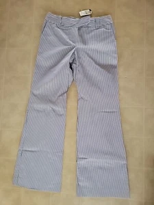 Loft Pants Women 0P Blue White Striped Flare Leg Pants NEW - Picture 1 of 4