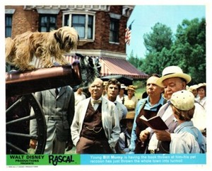 Rascal Original Lobby Card Disney Billy Mumy John Fiedler Raccoon Dog on Cannon