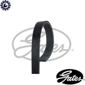 CINTURÓN ACANALADO 5PK880 PARA SUBARU LEGACY/II/III/IV/OUTBACK SVX IMPREZA/Hatchback - Imagen 1 de 7