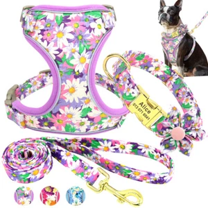 Floral Flower Personalised Dog Collar and Lead set & Mesh Walking Harness Vest - Picture 1 of 20