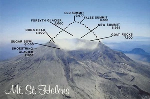 Postcard WA: Mt. St. Helens Before & After, Washington State, 4x6 Unposted - Picture 1 of 2