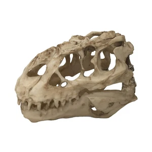 Tyrannosaur Skull T-Rex Skull Dinosaur Resin Craft Home Aquarium Decor Fish Tank - Picture 1 of 5