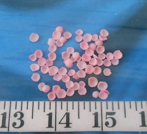 ~ Baby Cup Shells ~ 70+ ~ Medium-Pink Mix ~ Shellcraft ~ Sailor's Valentines ~ - Picture 1 of 4