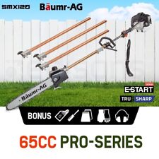 【EXTRA10%OFF】Baumr-AG 65CC Pole Chainsaw Saw Petrol Chain Tree Pruner