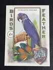 2021 Topps Allen & Ginter HYACINTH MACAW Birds of a Feather #BOF-6