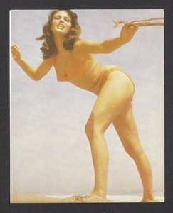 Raquel Welch Collector Photo Card    Model Leggy Bikini Barefoot