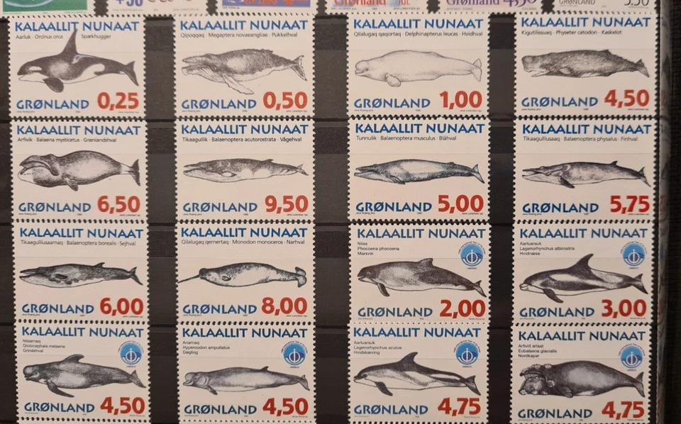 GREENLAND GRØNLAND 1996-98 XF MNH COMPLETE SERIES WHALES MARINE LIFE ANIMALS - Изображение 1 из 1