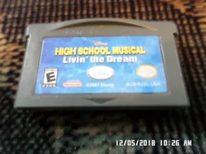 High School Musical: Livin' the Dream w/ Manual (Nintendo Game Boy Advance, GBA) - Picture 1 of 3