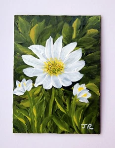 ACEO Original Miniature Painting: "White Daisy" by Judith Rowe - Picture 1 of 4