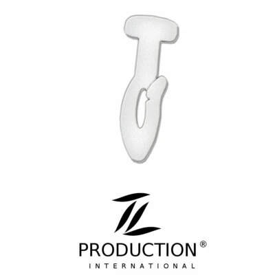 LKW-Gardinenhaken 100 Stück für Scania R und G bis 2017 Gleiter Truck-Vorhang - Bild 1 von 2