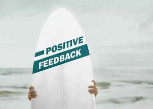Explore Product & Reproduction Positive Positive New Feed - Picture 1 of 1