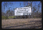 Photo:Chico's billboard,Route 17,Georgia