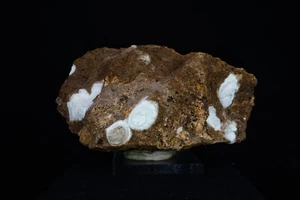 Calcite Nodules / Mineral Specimen / Gold Chain Mine, Utah - Picture 1 of 7
