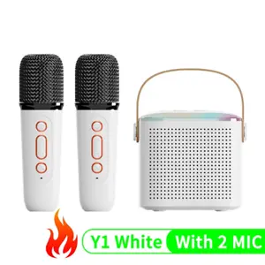 Portable Wireless Dual Microphone Karaoke Machine Bluetooth PA Speaker KTV DSP S