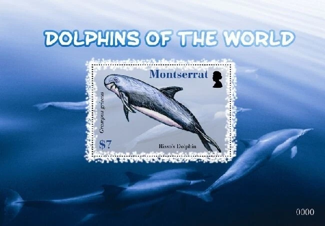 Montserrat - 2008 Dolphins of the World - Souvenir Sheet - MNH - Image 1 of 1