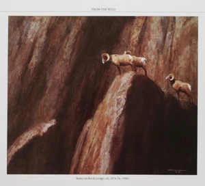 Rams On Rock Ledge - Big Horn Sheep Bookplate - Schoenherr Wildlife Art Print - Picture 1 of 2