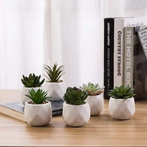 Mini Assorted Artificial Succulents in White Geometric Ceramic Pots, Set of 6 - Picture 1 of 6