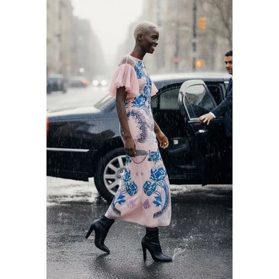  Vestido de pasarela bordado manga acampanada porcelana rosa Temperley London $3990  Foto 1 de 4