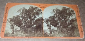 BF Childs Brubaker & Whitesides Michigan Stereoview paesaggio rurale Mackinaw Shack - Foto 1 di 1