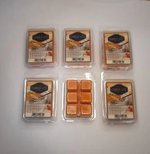 6 Stück Candle-Lite Pumpkin Souffle Ltd Edition Herbst stark duftend Wachs Melts - Bild 1 von 4