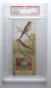 1924 V75 Patterson Candy co. Bird Card #11 The Trush PSA 1