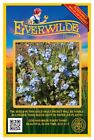 1 Oz Forget Me Not Wildflower Seeds - Everwilde Farms Mylar Seed Packet