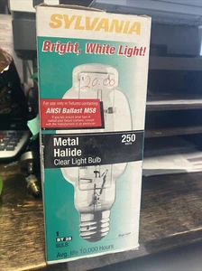 Light Bulb - Picture 1 of 1